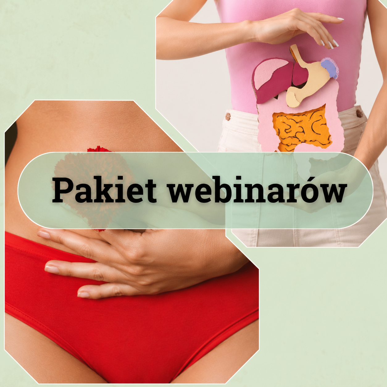 Pakiet webinarów: Wilgoć i śluz przyczyną 100 chorób + Jak wzmocnić krew wg TMC